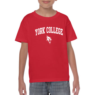 York College Cardinals Arch Logo Basic Cotton Youth Short Sleeve T Shirt - Red